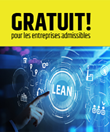 Formation Lean Ceinture Verte